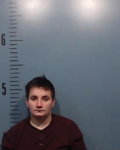 Brickerd, Kaylee Nichole booking photo
