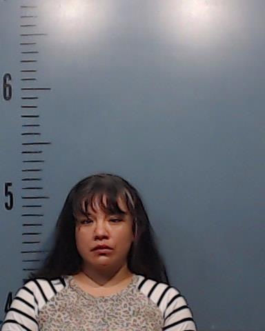 Vasquez, SanJuana Fernandez booking photo