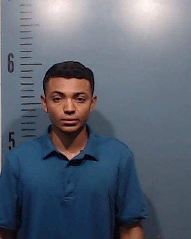 Lemus-Pardo, Pedro booking photo