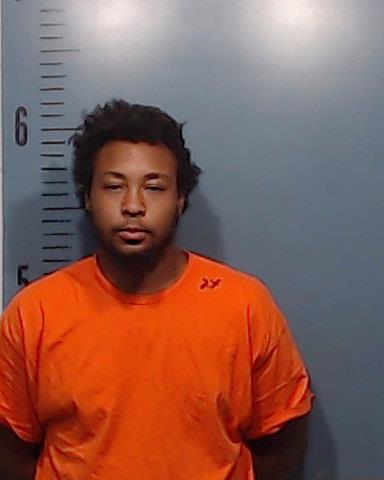 Hull, Tyreece Lee booking photo