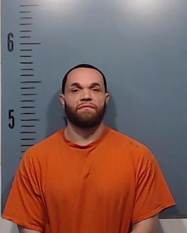 Norman, Narada Michael booking photo