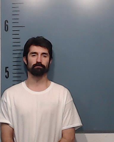 Bailey, Dakota Allen booking photo