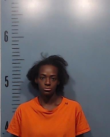 Egnew, Martha Kay booking photo