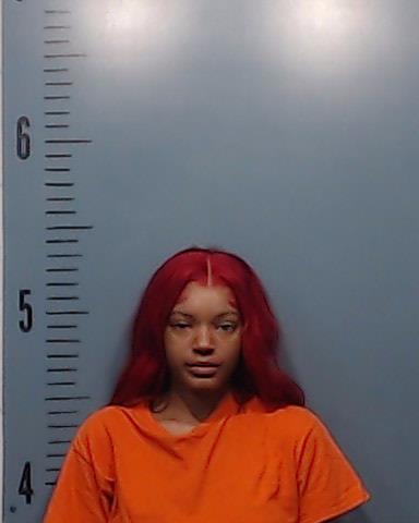Terry, Leonna Ungleah booking photo