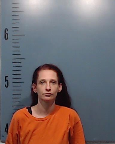 Ellis, April Lynn booking photo