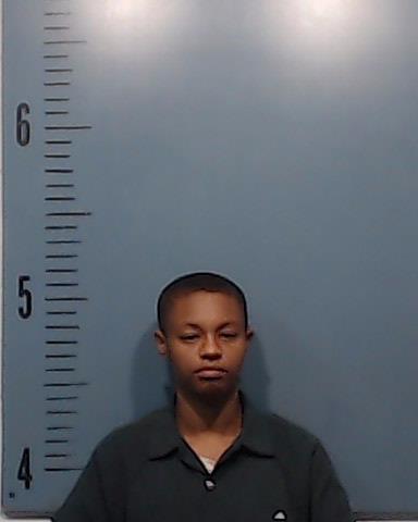 Scott, Tijana Shabree booking photo