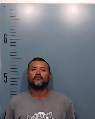 Castillo-Jimenez, Ferrnando Jose booking photo