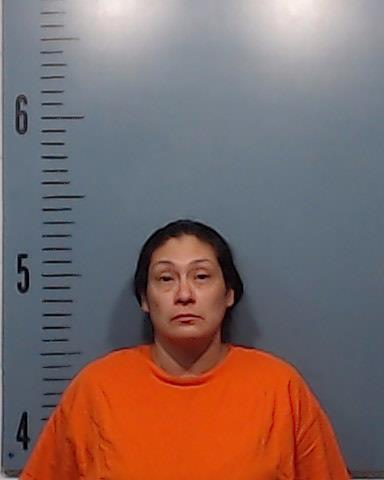 Tomlin, Christina Ann booking photo