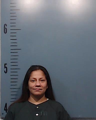 Gonzalez, Precilla Lee booking photo