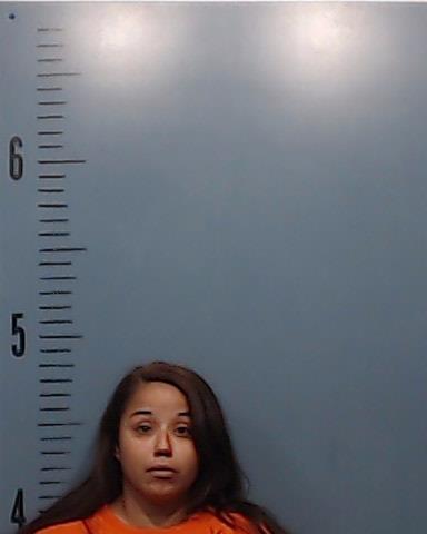 Barrera, Elena Reyes booking photo