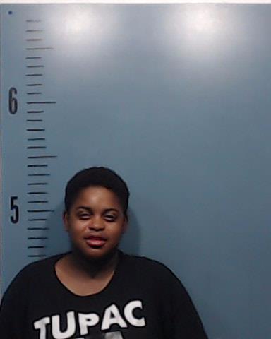 Johnson, Randi Brenae booking photo