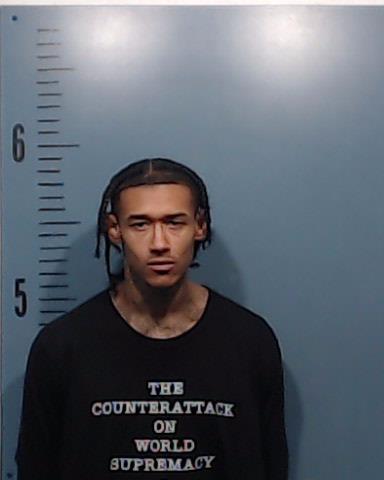 Adams, Ceasar Lamar arrested by Taylor County SO/PD