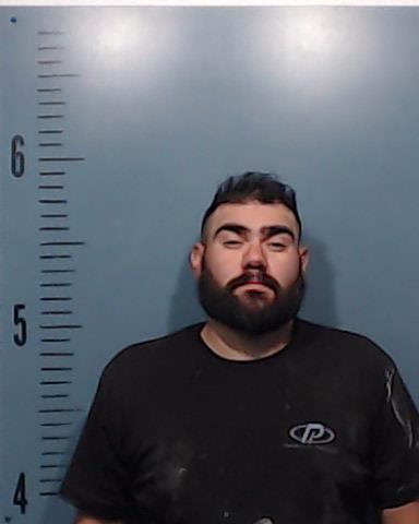 Gonzalez, Justin Lee booking photo