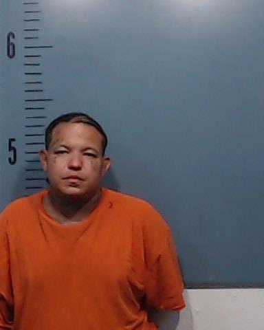 Johnson, James Lucas booking photo