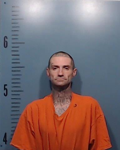 Williams, Randall Edward booking photo