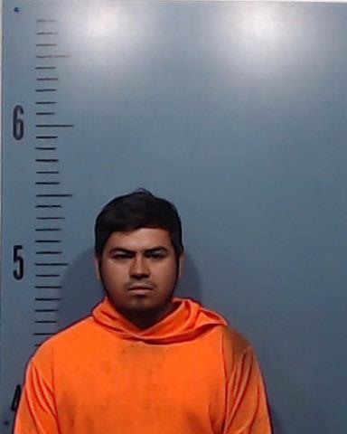 Alvarez-Hernandez, Herman Argenis booking photo