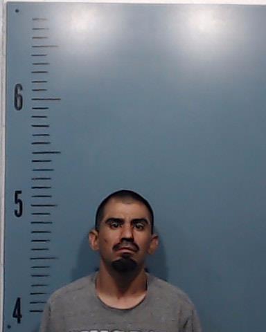 Guzman, Sanrobert booking photo