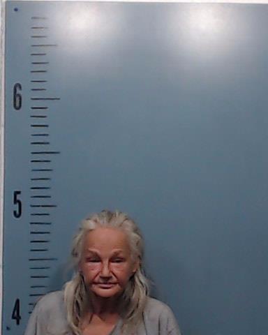 Looby, Lynne Rene booking photo