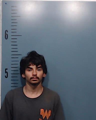 Flores, Xavier Espiridion Ray booking photo