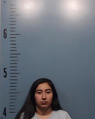 Gutierrez, Sky Michelle booking photo