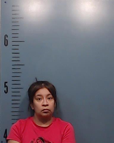 Torres, Amy Marie booking photo