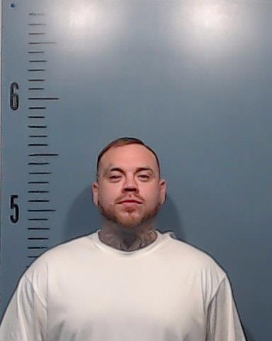 Bryan, Joshua Wayne booking photo