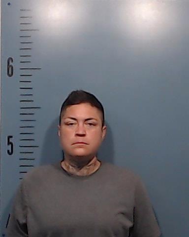 Castro, Samantha Diane booking photo