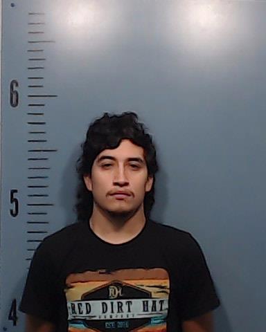 Alarcon, Alex booking photo