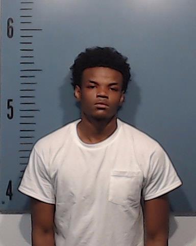 Williams, JaMichael Deon booking photo