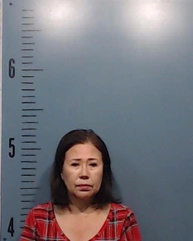 Choi-Sung, Hee S booking photo