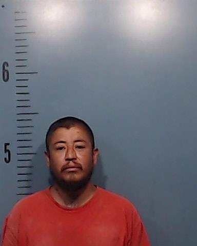 Gonzalez-Zeremeno, Rogelio booking photo