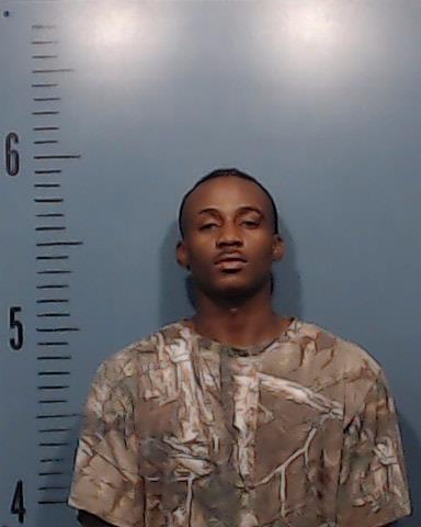 Nyamushaka, Bellami Louison booking photo