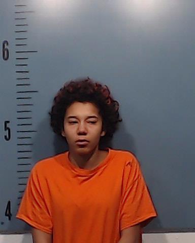 Calderon, Taylor Alexandria booking photo