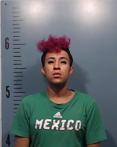 Jackson, Devon Tanaka booking photo