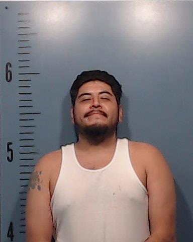 Gomez, Armando Joseph booking photo