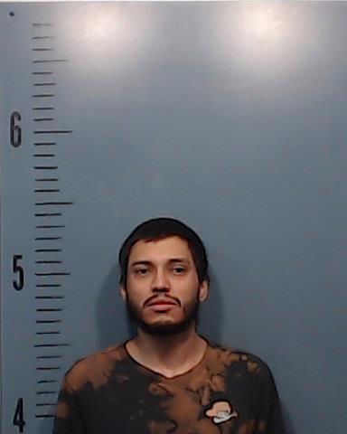 Castillo, Cedrick Sebastian booking photo