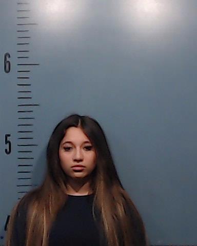 Nernberger, Brianna Valeria booking photo