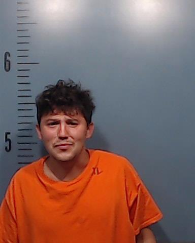 Almanza, Carlos Alfonso, Jr. booking photo