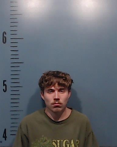 Fitzgerald, Payton Reid arrested by Taylor County SO/PD