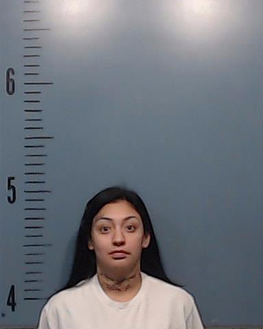 Falcon, Pilar Trevino booking photo