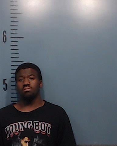 Rowell, Tristen Lamar booking photo