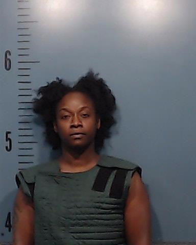 Brooks, Selisha Donniece booking photo