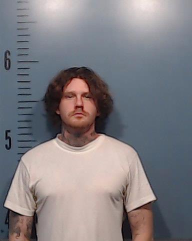 Pickwell, Aaron John booking photo
