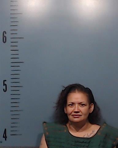 Vasquez, Ashley Elizabeth booking photo