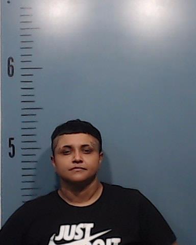 Jaramillo, Adriana Lee booking photo