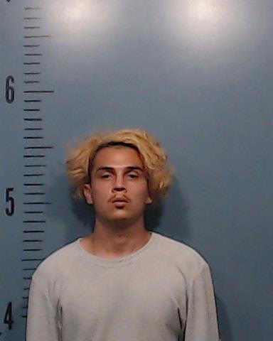 Torres, Charlie Samuel, Jr. booking photo