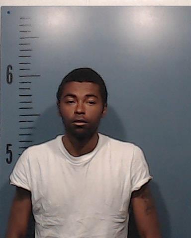 Gowdy, Michael Lashan booking photo