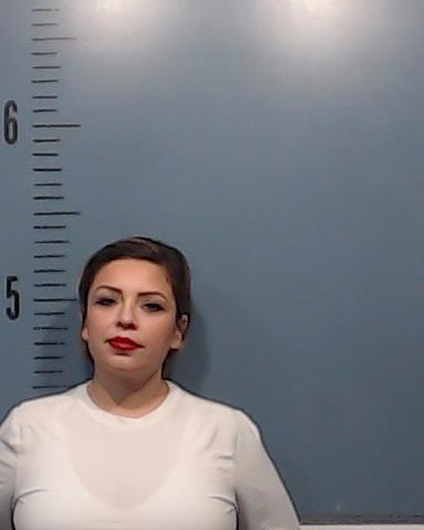 Sanchez, Lee Mercedes booking photo