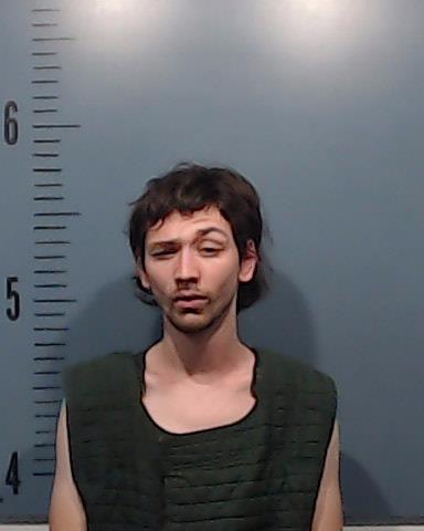 Baldwin, Samuel Andrew Robert booking photo