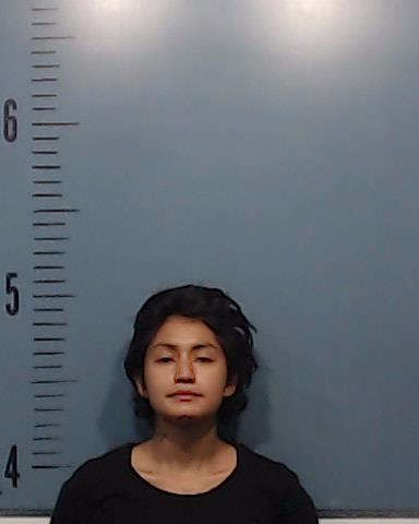 Ortiz, Dominique Aliyah booking photo